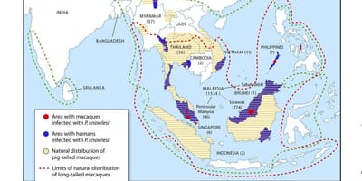 Mapa Malezji malarii